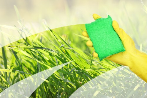 Professional carpet cleaning in a South Hackney home