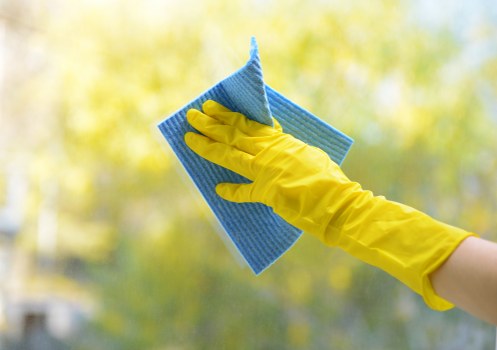 Professional carpet cleaner preparing equipment for a service appointment
