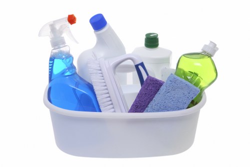 Carpet cleaning pricing discussion in a South Hackney home