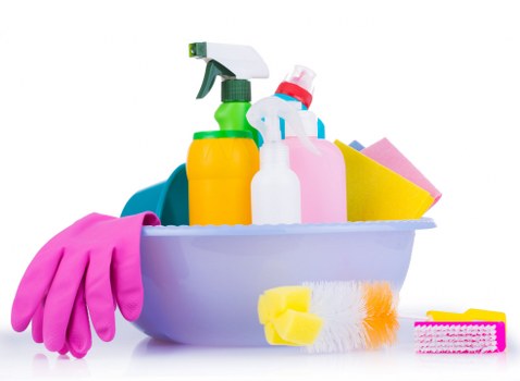 Cleaner removing pet stains from upholstery in South Hackney