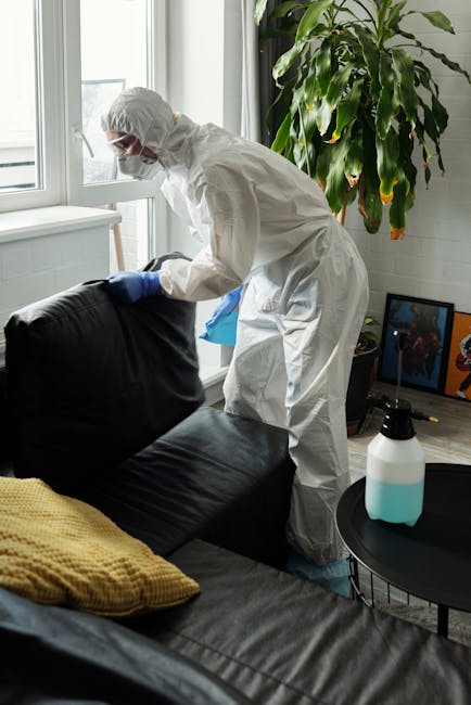 A person dressed in full protective cleaning gear, including a white coverall, gloves, and a face mask, is performing surface cleaning on a black leather sofa in a bright living room. The sofa is adja